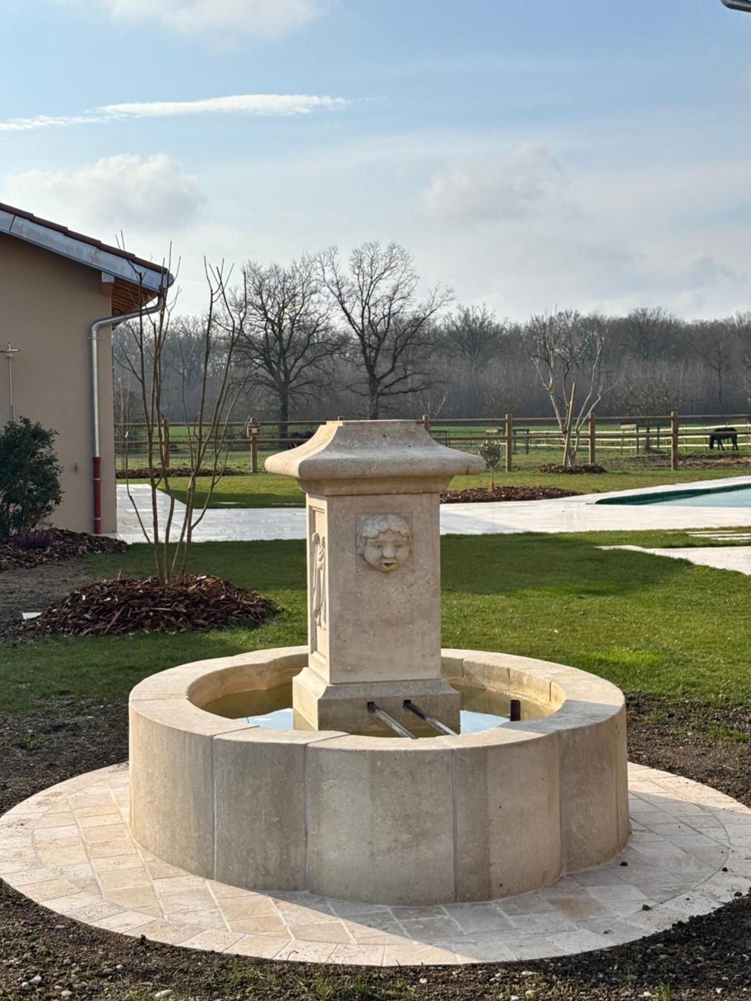 Bed and Breakfast Le Domaine Du Pin à Châtillon-sur-Chalaronne Extérieur photo